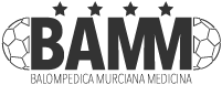 Logo BAMM